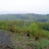 Revir Jasenice 001